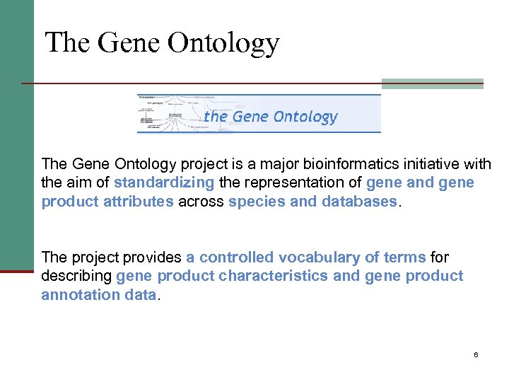 The Gene Ontology project is a major bioinformatics initiative with the aim of standardizing