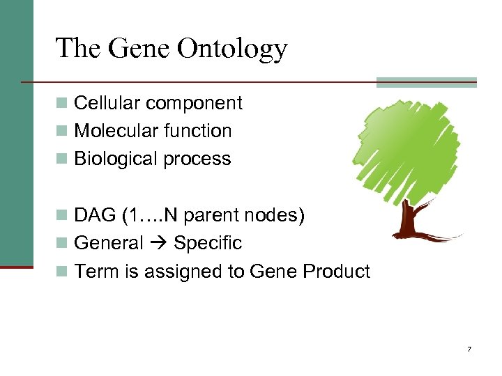 The Gene Ontology n Cellular component n Molecular function n Biological process n DAG