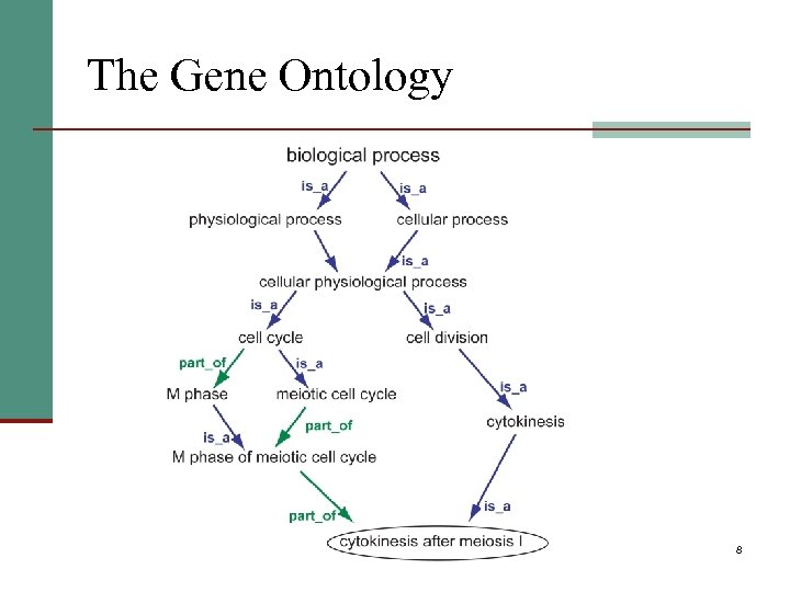 The Gene Ontology 8 