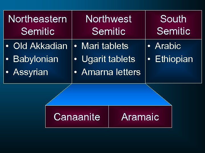 Northeastern Semitic Northwest Semitic South Semitic • Arabic • Old Akkadian • Mari tablets