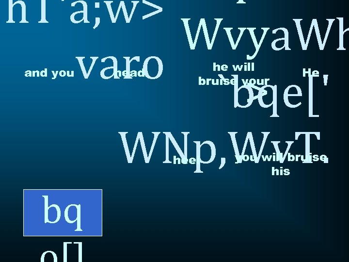 h. T'a; w> Wvya. Wh varo > `bqe[' WNp, Wv. T. and you head