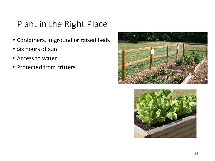 Plant in the Right Place • Containers, in-ground or raised beds • Six hours
