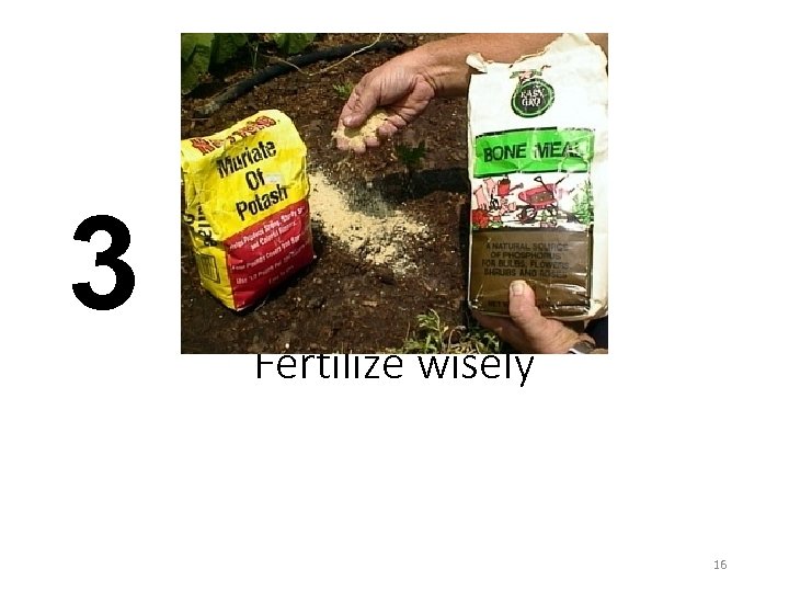 3 Fertilize wisely 16 