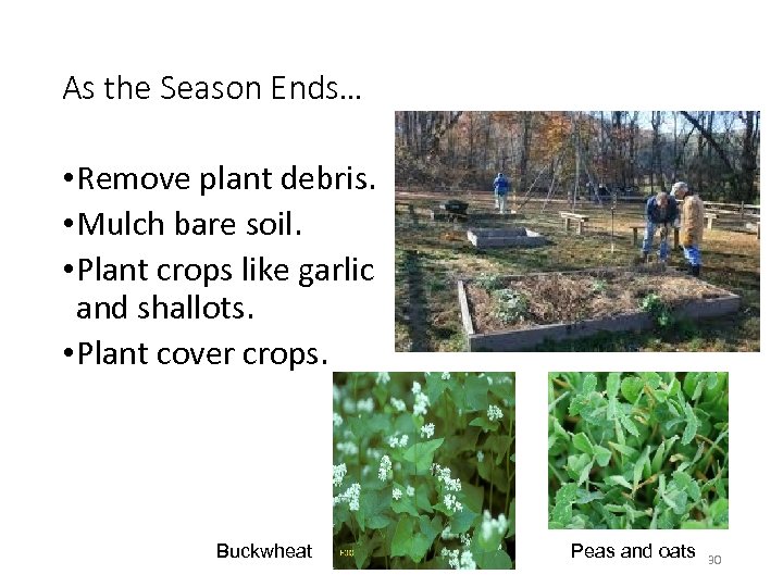 As the Season Ends… • Remove plant debris. • Mulch bare soil. • Plant