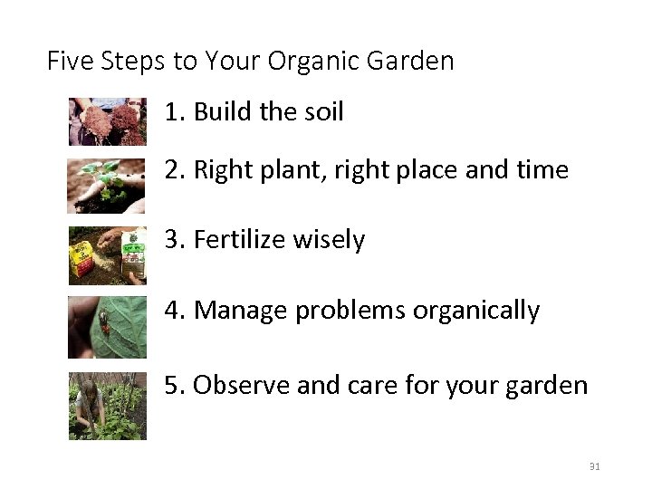 Five Steps to Your Organic Garden 1. Build the soil 2. Right plant, right