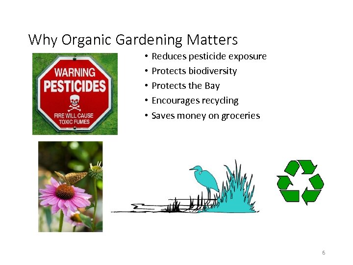 Why Organic Gardening Matters • Reduces pesticide exposure • Protects biodiversity • Protects the