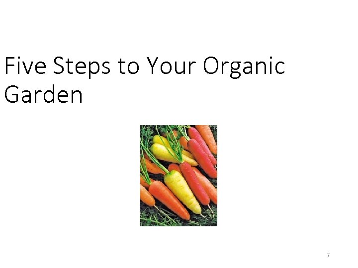 Five Steps to Your Organic Garden 7 