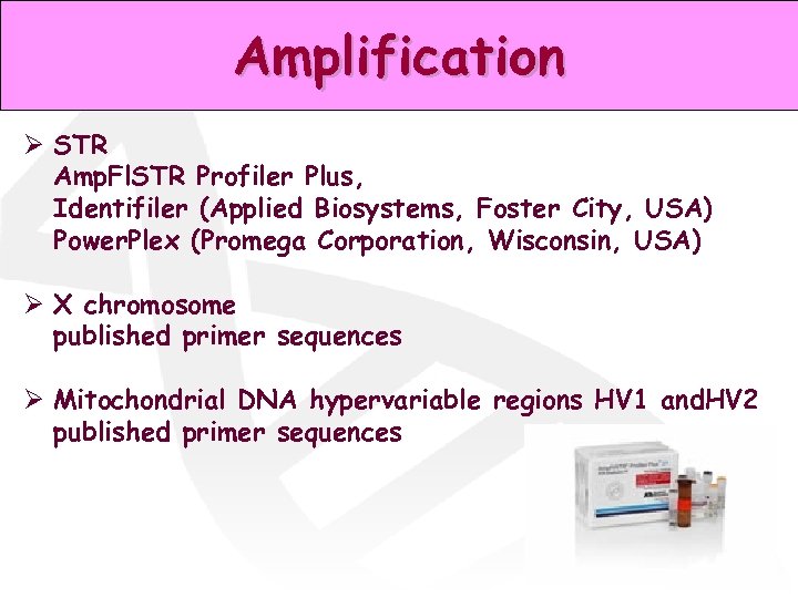 Amplification Ø STR Amp. Fl. STR Profiler Plus, Identifiler (Applied Biosystems, Foster City, USA)