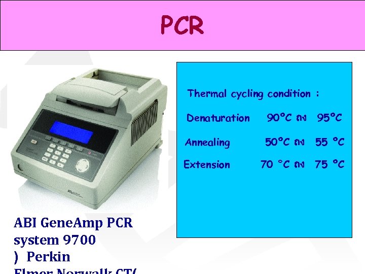 PCR Thermal cycling condition : Denaturation Annealing 50ºC ถง 55 ºC Extension ABI Gene.