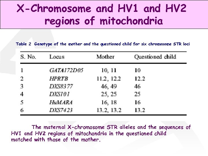 X-Chromosome and HV 1 and HV 2 regions of mitochondria Table 2 Genotype of