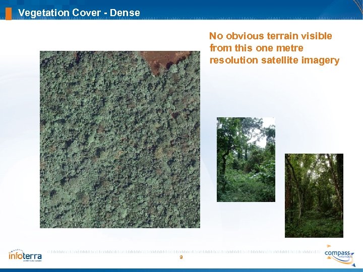 Vegetation Cover - Dense No obvious terrain visible from this one metre resolution satellite