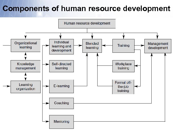 Components of human resource development 