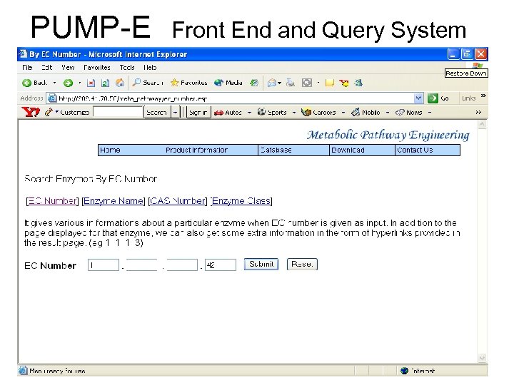 PUMP-E Front End and Query System • Web-based query interface • Supports complex advanced