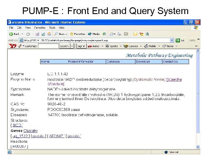 PUMP-E : Front End and Query System 