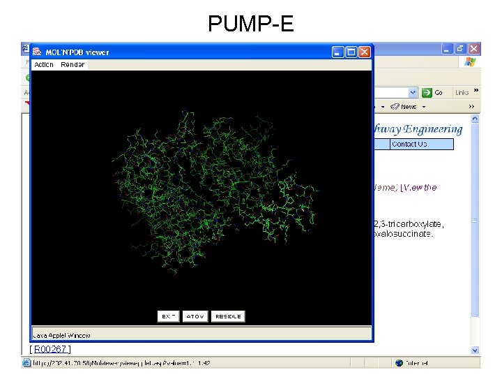 PUMP-E 