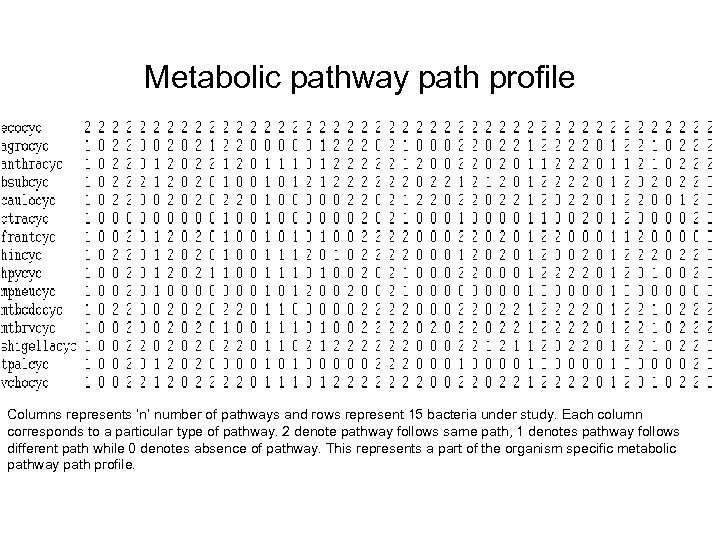 Metabolic pathway path profile Columns represents ‘n’ number of pathways and rows represent 15