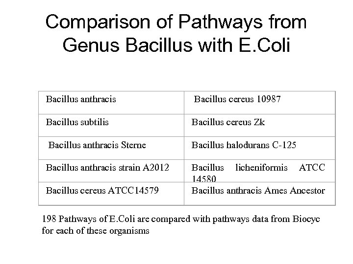 Comparison of Pathways from Genus Bacillus with E. Coli Bacillus anthracis Bacillus cereus 10987