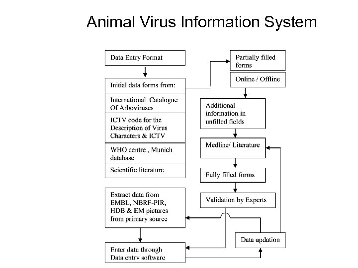  Animal Virus Information System 