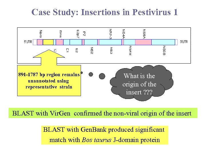 Case Study: Insertions in Pestivirus 1 891 -1787 bp region remains unannotated using representative