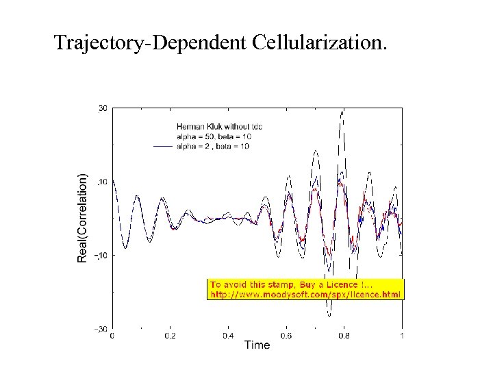 Trajectory-Dependent Cellularization. 