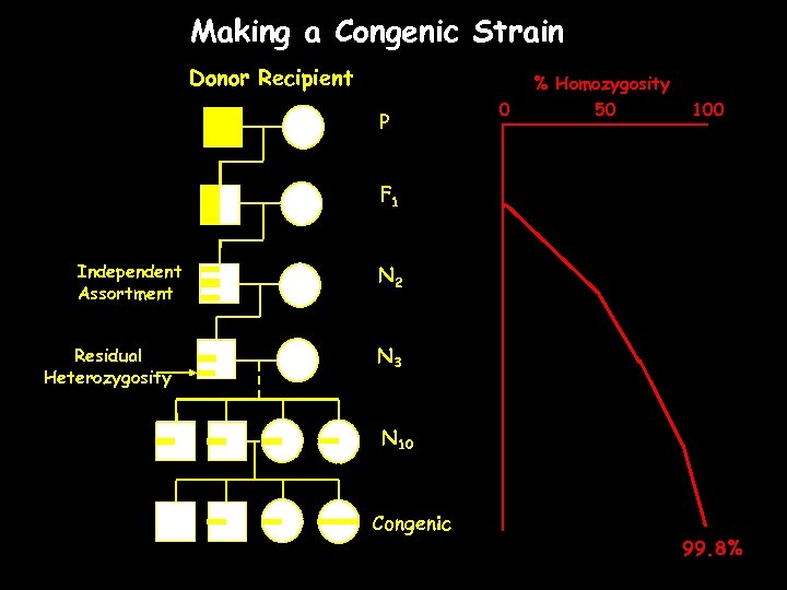 Making a Congenic Strain Donor Recipient P 0 % Homozygosity 50 100 F 1
