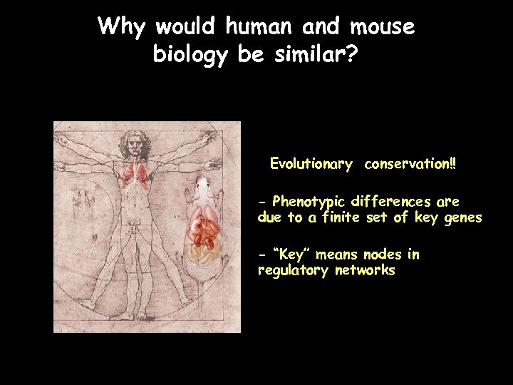 Why would human and mouse biology be similar? Evolutionary conservation!! - Phenotypic differences are