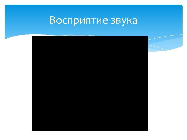 Восприятие звука 