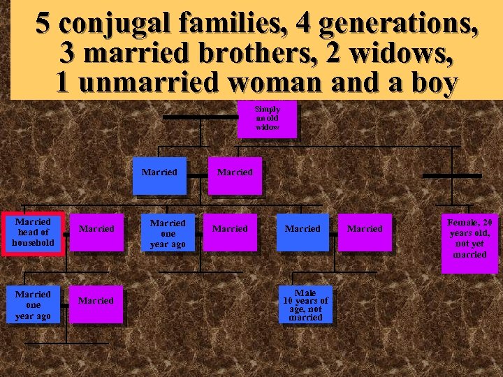 5 conjugal families, 4 generations, 3 married brothers, 2 widows, 1 unmarried woman and