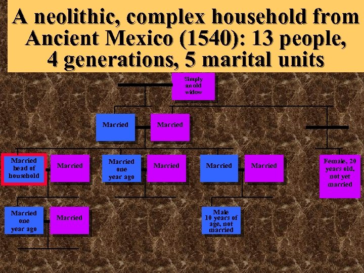 A neolithic, complex household from Ancient Mexico (1540): 13 people, 4 generations, 5 marital