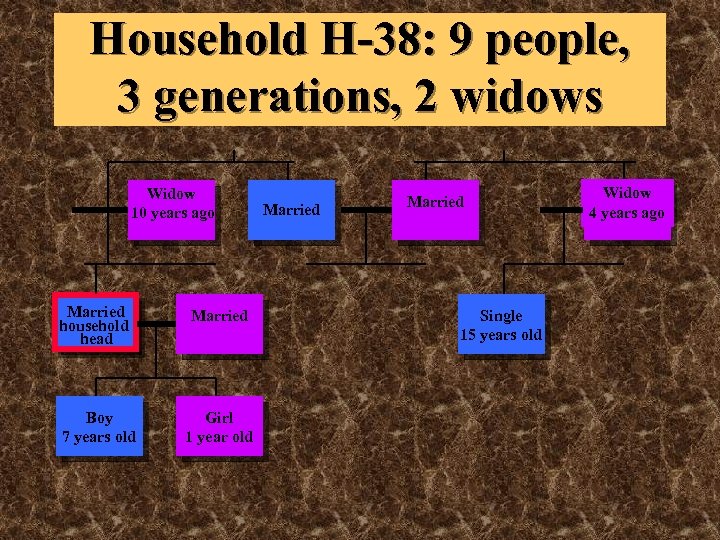 Household H-38: 9 people, 3 generations, 2 widows Widow 10 years ago Married household