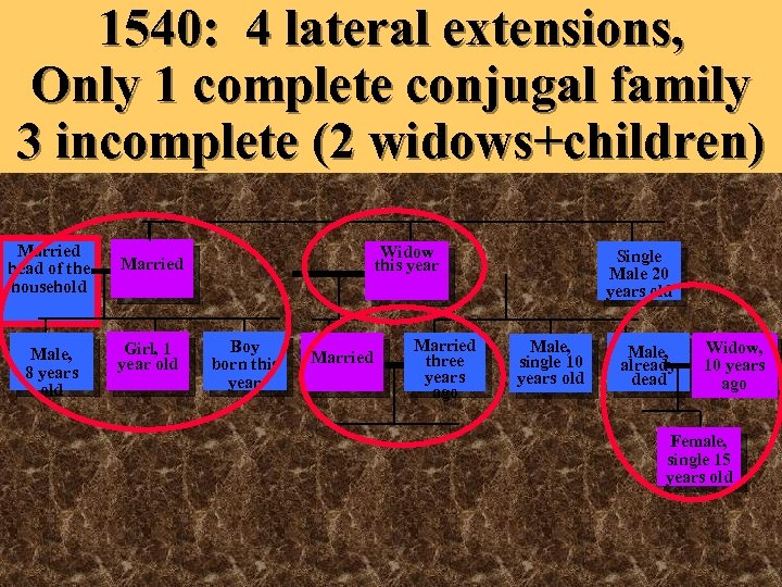 1540: 4 lateral extensions, Only 1 complete conjugal family 3 incomplete (2 widows+children) Married