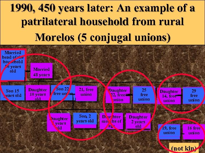 1990, 450 years later: An example of a patrilateral household from rural Morelos (5