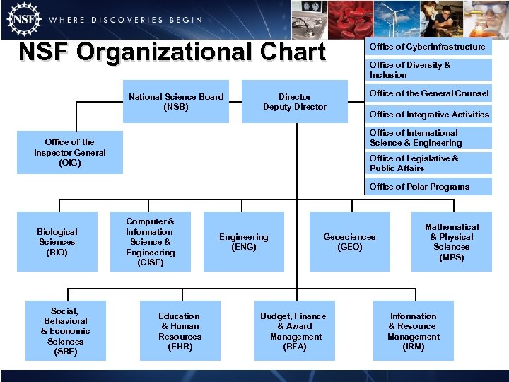 NSF Organizational Chart National Science Board (NSB) Director Deputy Director Office of Cyberinfrastructure Office