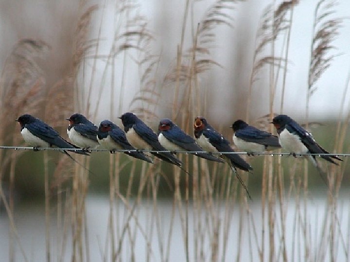 VU University Medical Center Amsterdam The Netherlands 