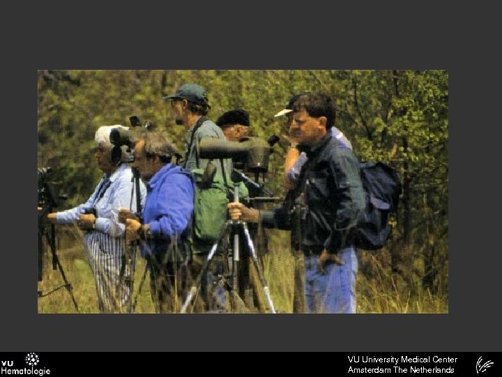 VU University Medical Center Amsterdam The Netherlands 