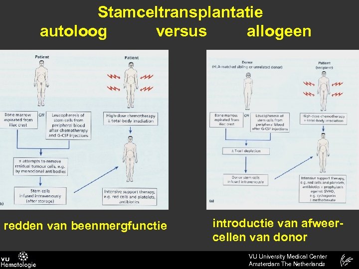 Stamceltransplantatie autoloog versus allogeen redden van beenmergfunctie introductie van afweercellen van donor VU University