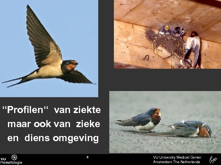 “Profilen“ van ziekte maar ook van zieke en diens omgeving 6 VU University Medical