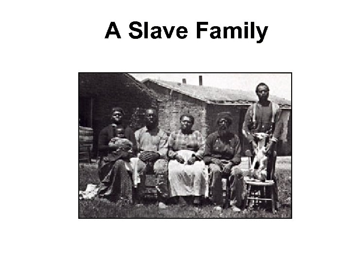 A Slave Family 