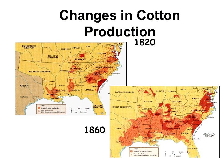 Changes in Cotton Production 1820 1860 