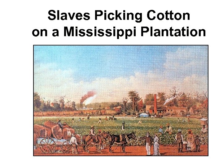Slaves Picking Cotton on a Mississippi Plantation 