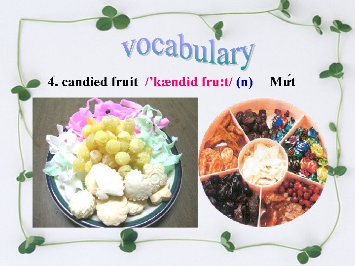4. candied fruit /’kændid fru: t/ (n) Mư t 