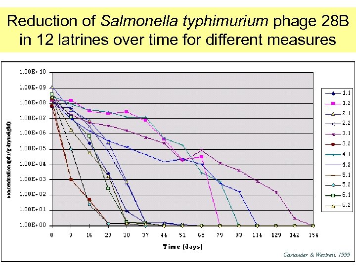 Reduction of Salmonella typhimurium phage 28 B in 12 latrines over time for different