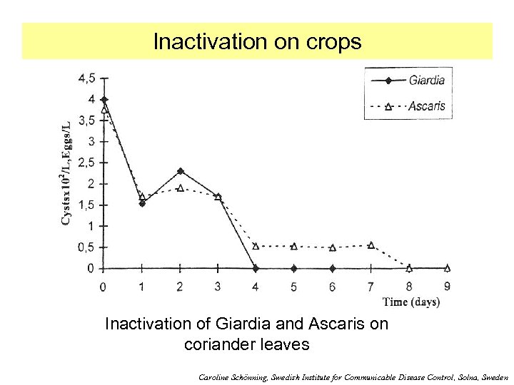 Inactivation on crops Inactivation of Giardia and Ascaris on coriander leaves Caroline Schönning, Swedish
