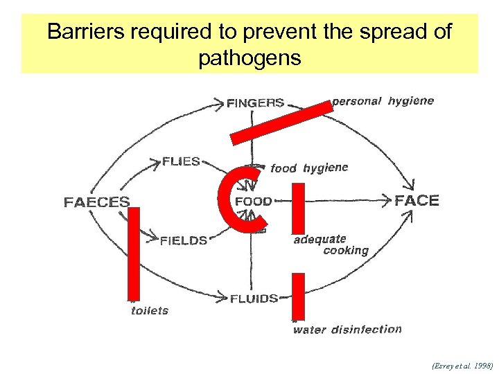 Barriers required to prevent the spread of pathogens (Esrey et al. 1998) 