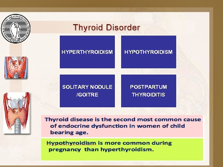 HYPERTHYROIDISM HYPOTHYROIDISM SOLITARY NODULE /GOITRE POSTPARTUM THYROIDITIS 