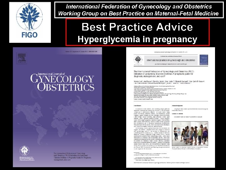 International Federation of Gynecology and Obstetrics Working Group on Best Practice on Maternal-Fetal Medicine