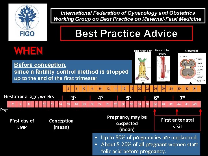 International Federation of Gynecology and Obstetrics Working Group on Best Practice on Maternal-Fetal Medicine