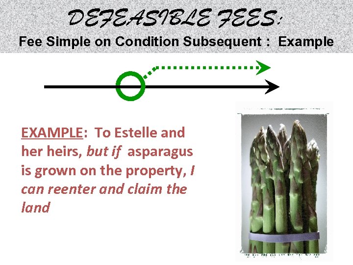 DEFEASIBLE FEES: Fee Simple on Condition Subsequent : Example EXAMPLE: To Estelle and her