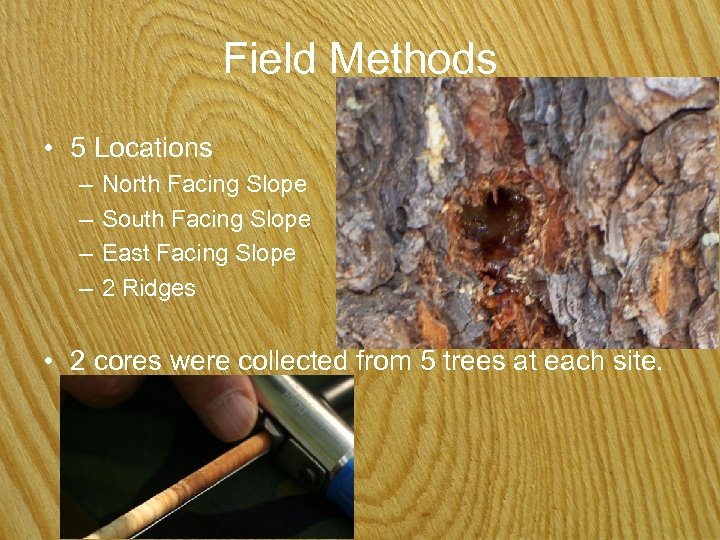 Field Methods • 5 Locations – – North Facing Slope South Facing Slope East