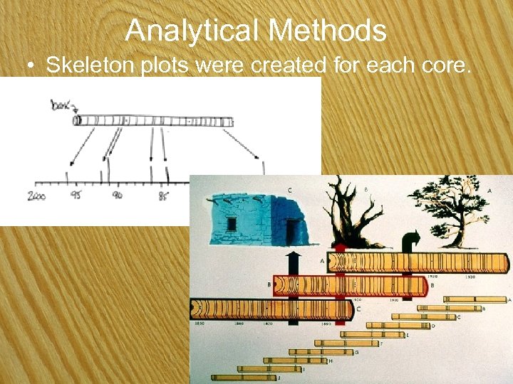 Analytical Methods • Skeleton plots were created for each core. 